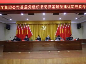 集团公司召开2021年度基层党组织书记抓党建工作述职会议
